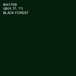 #041F0B - Black Forest Color Image